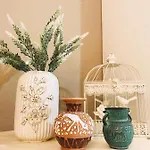 Mimi's