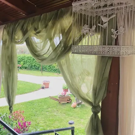 Mimi's *
